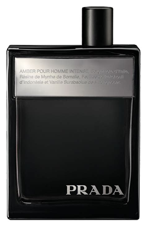 prada amber pur homme|amber pour homme intense.